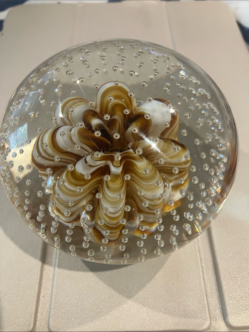 St. Clair Glass Flower Paperweight in Brown and White